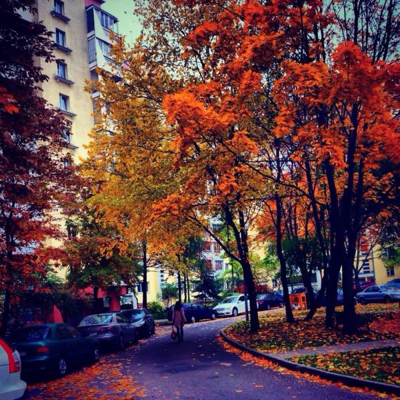 Название: tZml_64fX2A.jpg
Просмотров: 8203
Размер: 107.5 Кб