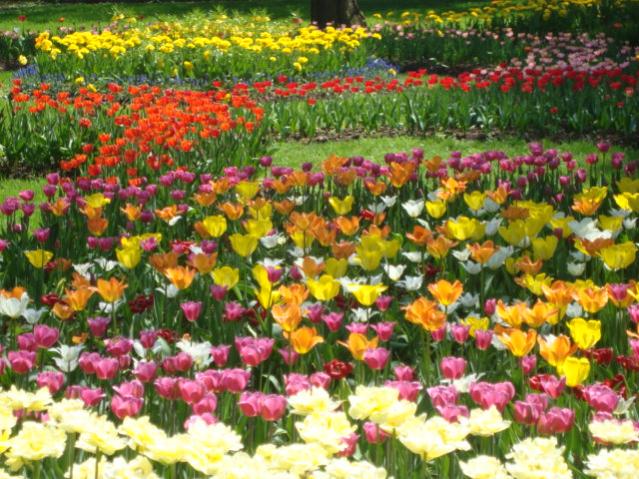 Название: DSC05751.jpg
Просмотров: 6211
Размер: 77.1 Кб