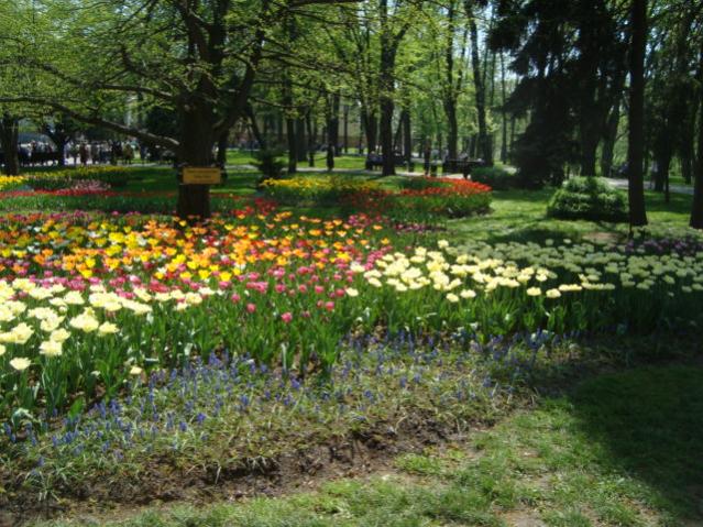 Название: DSC05754.jpg
Просмотров: 6052
Размер: 74.6 Кб