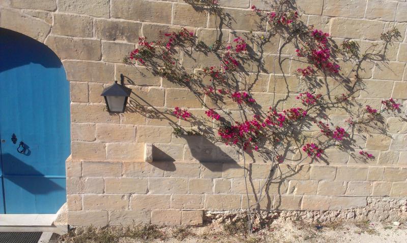 Название: IMAG0717.jpg
Просмотров: 4233
Размер: 88.8 Кб