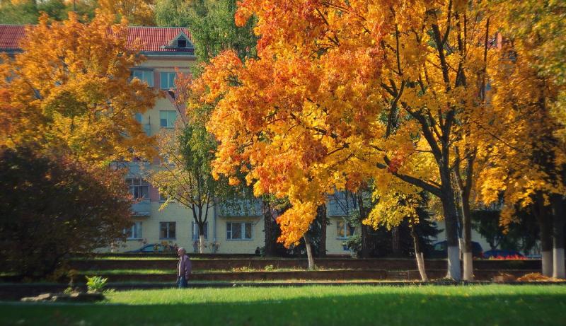 Название: 1.jpg
Просмотров: 4308
Размер: 93.7 Кб