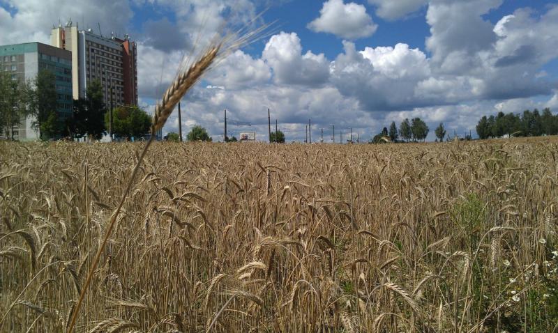 Название: 5.jpg
Просмотров: 3929
Размер: 92.1 Кб