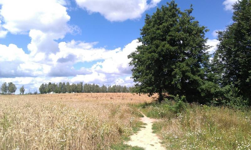 Название: 1.jpg
Просмотров: 3807
Размер: 87.3 Кб