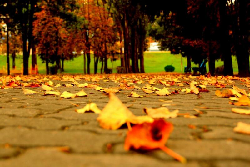 Название: EY8vXPO4w3k.jpg
Просмотров: 4561
Размер: 62.5 Кб