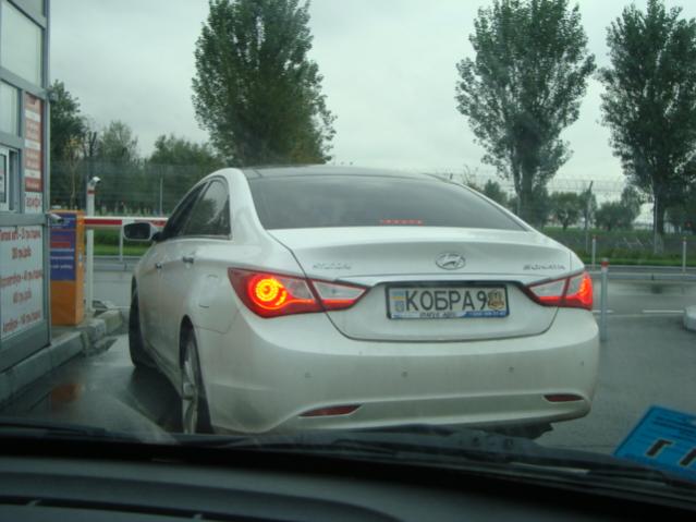Название: DSC06220.jpg
Просмотров: 10558
Размер: 38.4 Кб