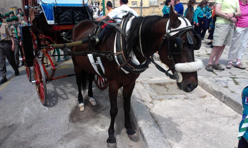 Название: IMAG0939.jpg
Просмотров: 2652
Размер: 77.4 Кб