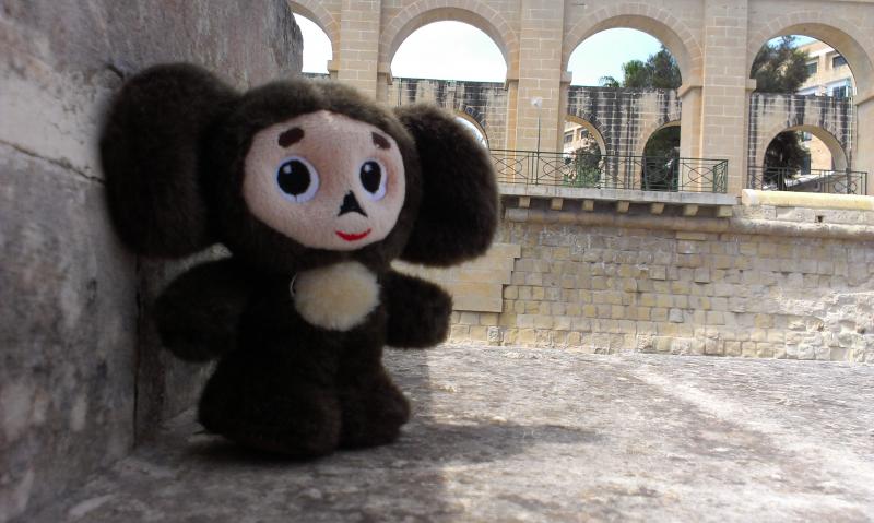 Название: IMAG0964.jpg
Просмотров: 3779
Размер: 57.0 Кб