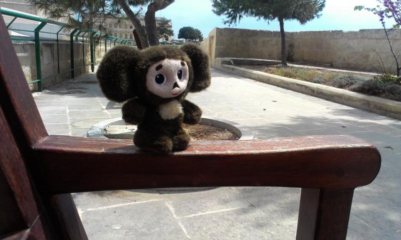 Название: IMAG0977.jpg
Просмотров: 3790
Размер: 58.0 Кб