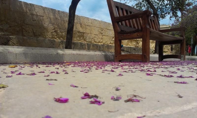 Название: IMAG0980.jpg
Просмотров: 3403
Размер: 62.3 Кб