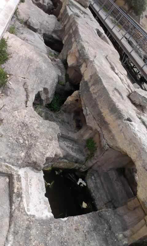 Название: IMAG1055.jpg
Просмотров: 3566
Размер: 81.1 Кб