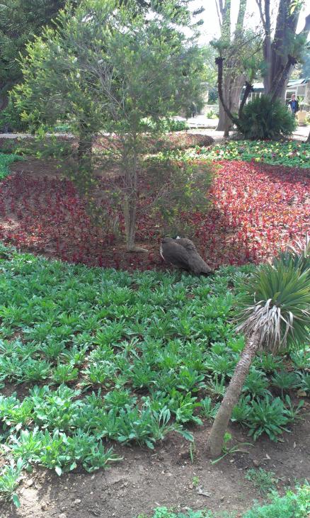 Название: IMAG1071.jpg
Просмотров: 3158
Размер: 99.0 Кб