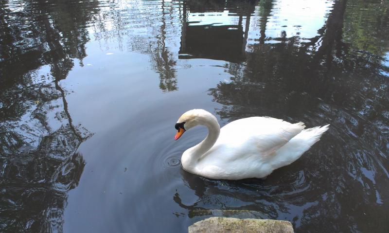 Название: IMAG1075.jpg
Просмотров: 3727
Размер: 62.2 Кб