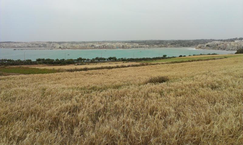 Название: IMAG1134.jpg
Просмотров: 3900
Размер: 72.9 Кб