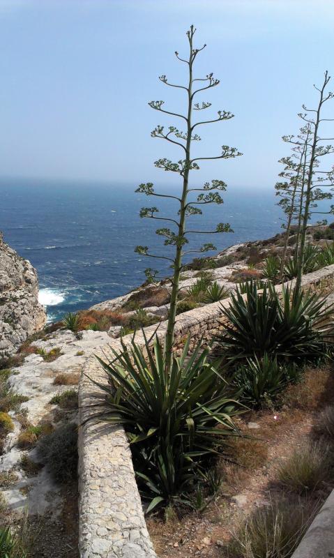 Название: IMAG1187.jpg
Просмотров: 2797
Размер: 74.9 Кб