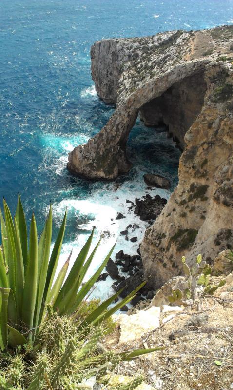 Название: IMAG1190.jpg
Просмотров: 3865
Размер: 97.9 Кб