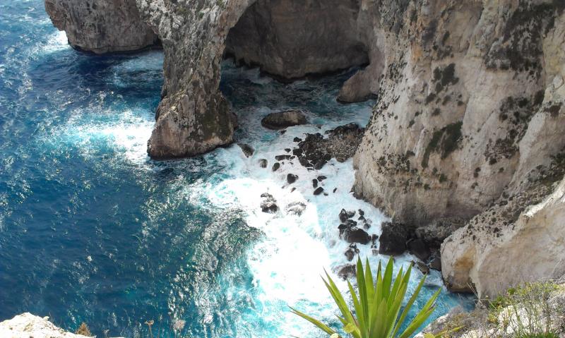 Название: IMAG1195.jpg
Просмотров: 3887
Размер: 88.8 Кб