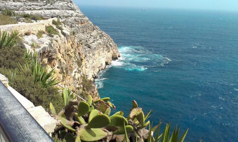 Название: IMAG1192.jpg
Просмотров: 2749
Размер: 80.8 Кб