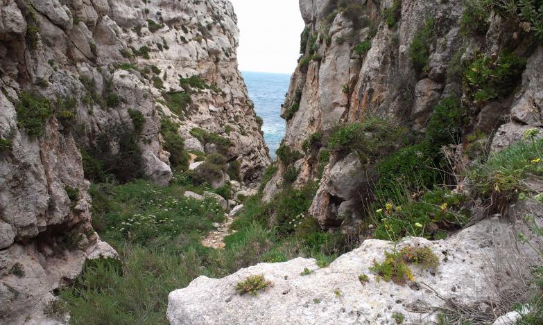 Название: IMAG1217.jpg
Просмотров: 2747
Размер: 98.1 Кб