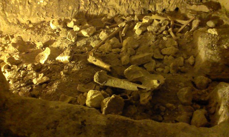 Название: IMAG1281.jpg
Просмотров: 3875
Размер: 68.6 Кб