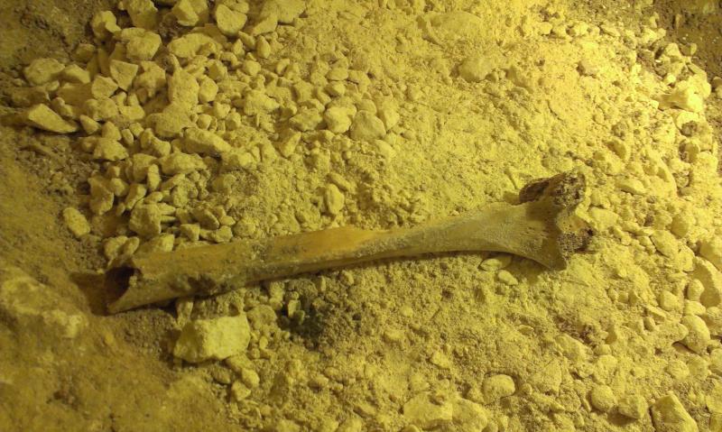 Название: IMAG1293.jpg
Просмотров: 3507
Размер: 86.2 Кб