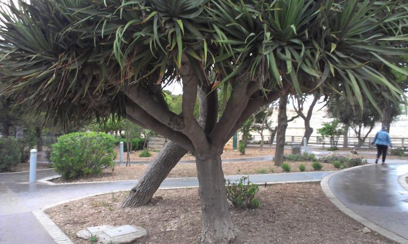 Название: IMAG1330.jpg
Просмотров: 3866
Размер: 77.1 Кб