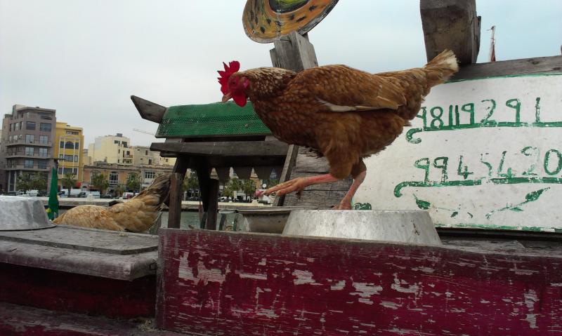 Название: IMAG1360.jpg
Просмотров: 2708
Размер: 62.1 Кб