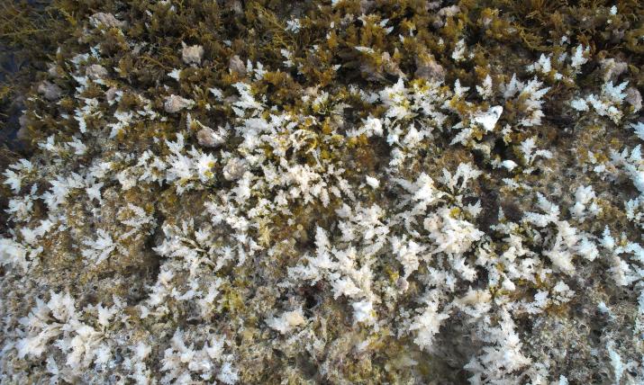 Название: IMAG1398.jpg
Просмотров: 1744
Размер: 100.2 Кб