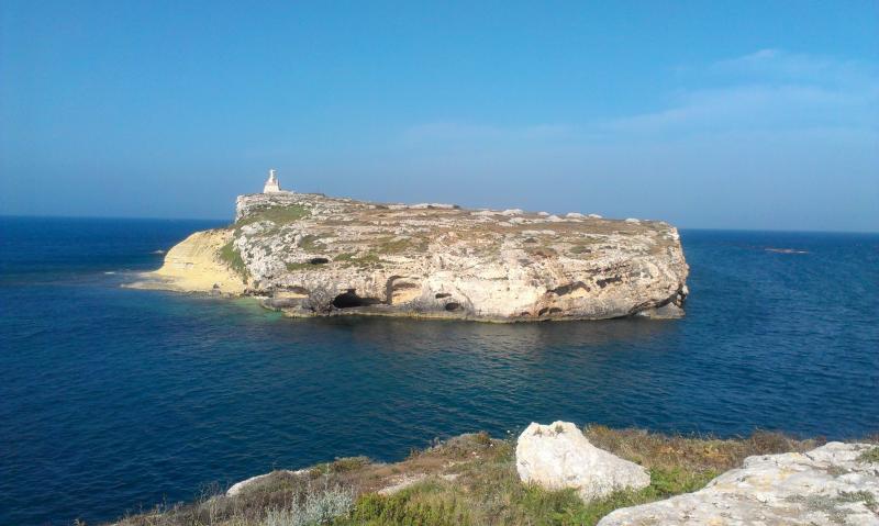 Название: IMAG1442.jpg
Просмотров: 1465
Размер: 50.8 Кб