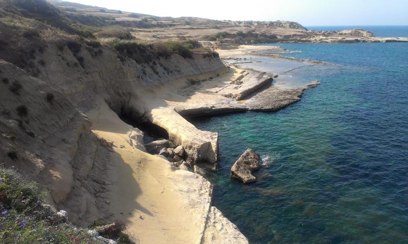 Название: IMAG1443.jpg
Просмотров: 1211
Размер: 67.1 Кб