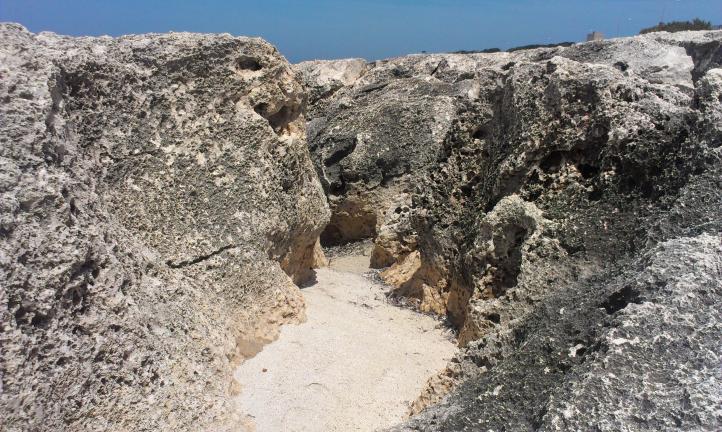 Название: IMAG1476.jpg
Просмотров: 1719
Размер: 98.3 Кб