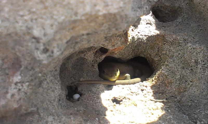 Название: IMAG1482.jpg
Просмотров: 1728
Размер: 63.4 Кб