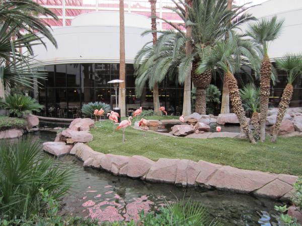 Название: 4.jpg
Просмотров: 751
Размер: 60.7 Кб