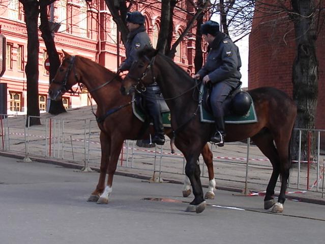 Название: Патруль 002.jpg
Просмотров: 905

Размер: 53.7 Кб