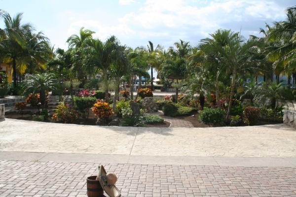 Название: Cruise 111.jpg
Просмотров: 855
Размер: 48.6 Кб