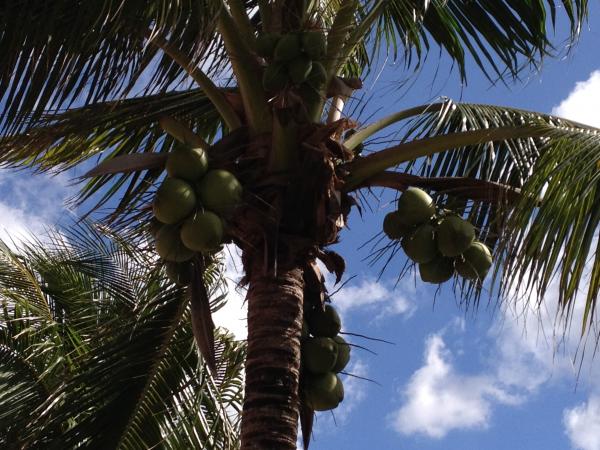 Название: IMG_0753.jpg
Просмотров: 817
Размер: 62.2 Кб