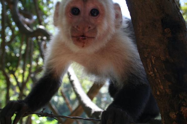 Название: Cruise 142.jpg
Просмотров: 890
Размер: 29.3 Кб