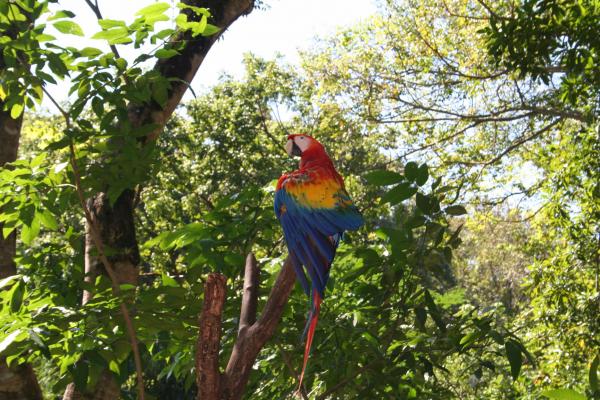 Название: Cruise 156.jpg
Просмотров: 879
Размер: 73.9 Кб