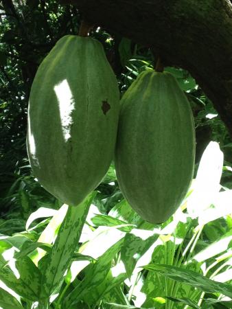 Название: IMG_0949.jpg
Просмотров: 884
Размер: 30.7 Кб