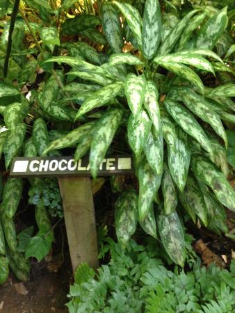 Название: IMG_0946.jpg
Просмотров: 859
Размер: 39.4 Кб