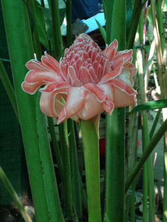 Название: IMG_0823.jpg
Просмотров: 842
Размер: 25.4 Кб