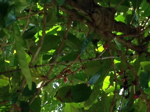 Название: IMG_0954.jpg
Просмотров: 848
Размер: 41.9 Кб