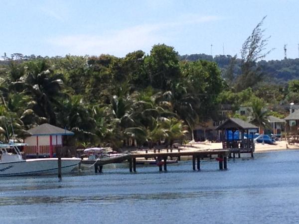 Название: IMG_0920.jpg
Просмотров: 886
Размер: 43.7 Кб