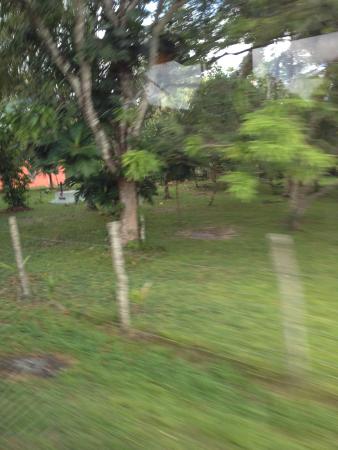 Название: IMG_1070.jpg
Просмотров: 911
Размер: 26.2 Кб