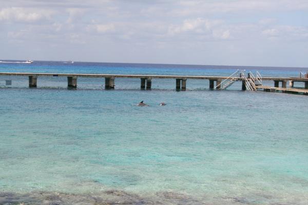 Название: Cruise 109.jpg
Просмотров: 907
Размер: 28.8 Кб