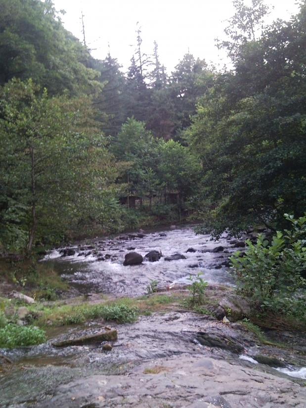 Название: SNC00039.jpg
Просмотров: 1074
Размер: 97.8 Кб