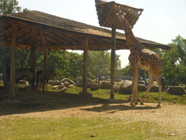 Название: DSCN0407.jpg
Просмотров: 997
Размер: 44.2 Кб