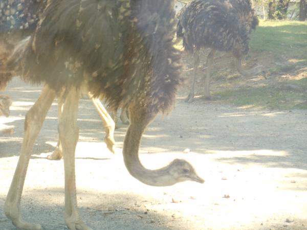 Название: DSCN0426.jpg
Просмотров: 964
Размер: 33.2 Кб