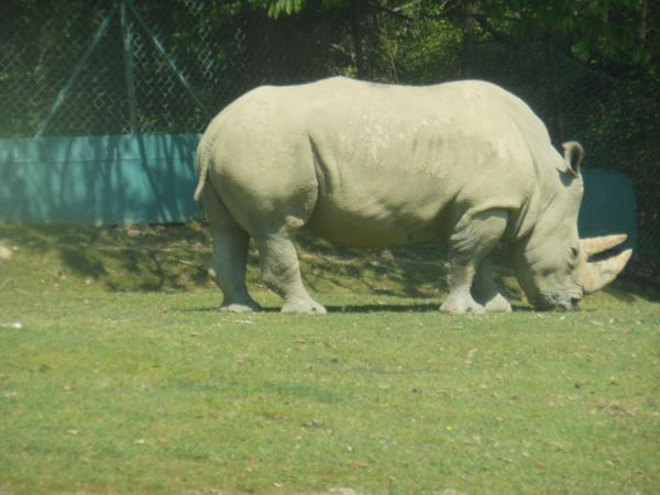 Название: DSCN0445.jpg
Просмотров: 967
Размер: 36.5 Кб