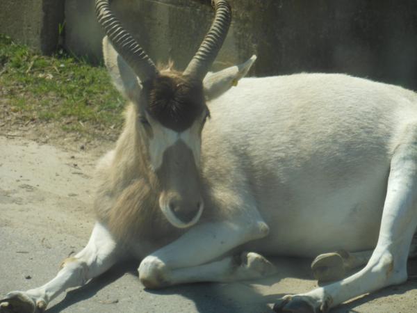 Название: DSCN0460.jpg
Просмотров: 972
Размер: 33.0 Кб