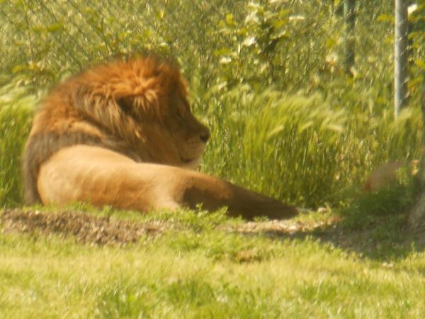 Название: DSCN0470.jpg
Просмотров: 948
Размер: 44.7 Кб